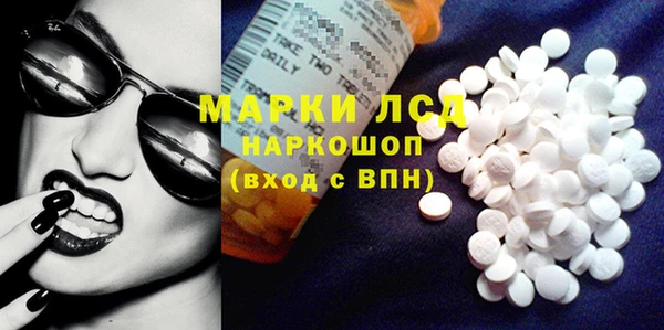 индика Саяногорск