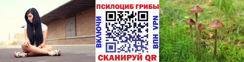 Галлюциногенные грибы MAGIC MUSHROOMS Новое Девяткино