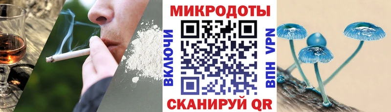 Псилоцибиновые грибы мицелий  Купить  Новое Девяткино 